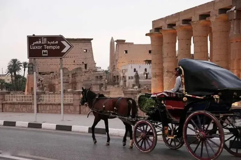 Luxor Horse Carriage Evening Tour — The Ancient City at Dusk